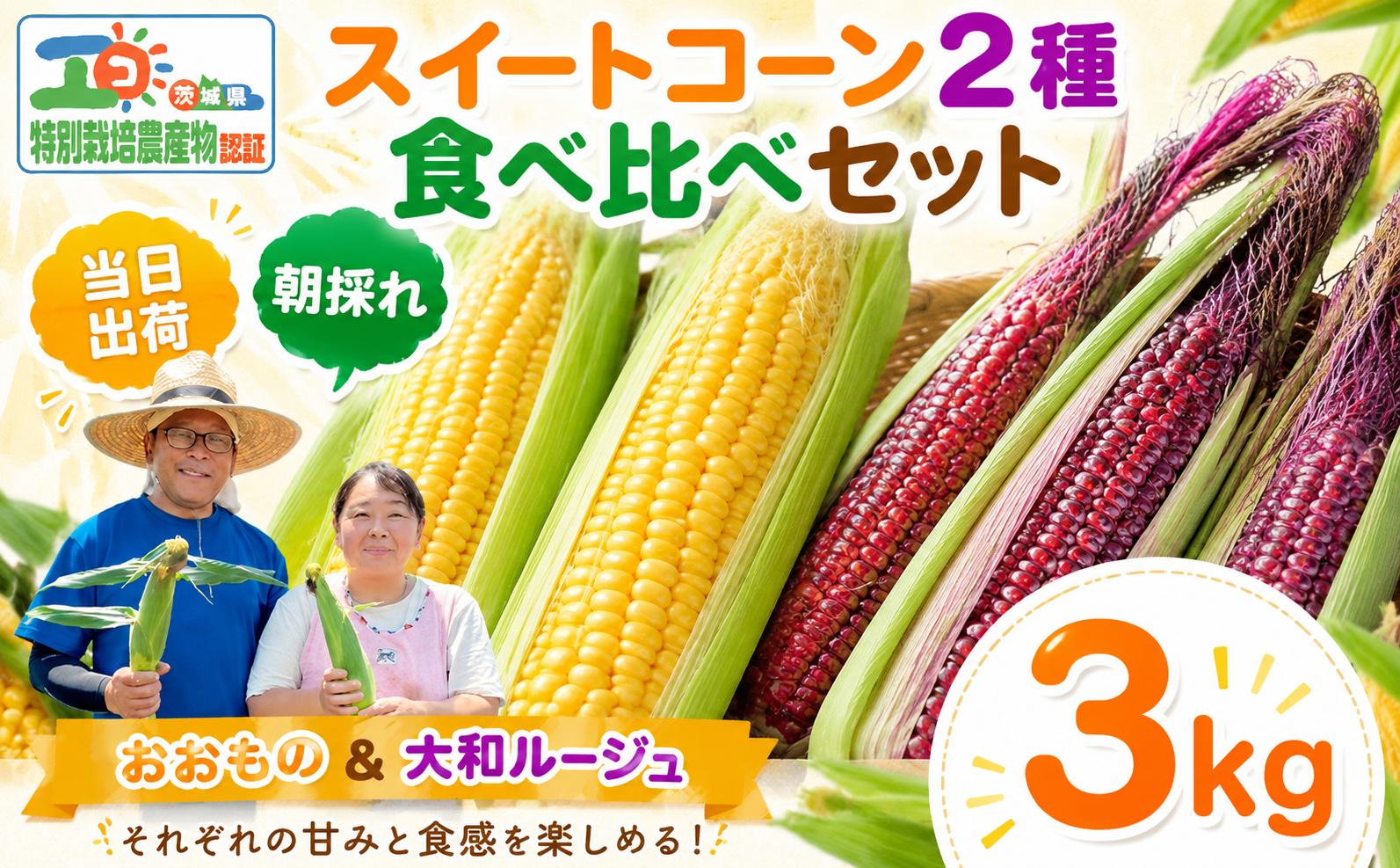 
                  【先行予約】 とうもろこし 約3kg 2種詰合わせ 大和ルージュ おおもの 朝採れ 食べ比べ【7月上旬以降発送】 トウモロコシ トウキビ とうきび スイートコーン コーン 赤とうもろこし 赤 toumorokoshi 茨城県産 新鮮 甘い 糖度 朝どれ 甘い おおもの 野菜 レンチン 冷蔵 夏野菜 極甘 旬 産地直送 関東 茨城 筑西
                