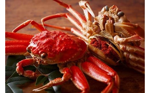 
            【蟹の匠 魚政】内子外子が美味! 茹でたて セイコガニ（セコ蟹）（香箱ガニ）（こっぺ）中大サイズ 5匹セット　UO01381
          