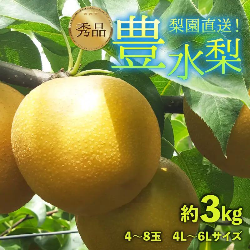 【先行予約】上野梨園の豊水梨  約3kg  4L～6L【秀品】《数量限定》梨園直送！ / 期間限定 果物 フルーツ 農家直送 シャキシャキ もぎたて 旬 お取り寄せ ※2026年9月上旬より順次発送 [aw077-a025]