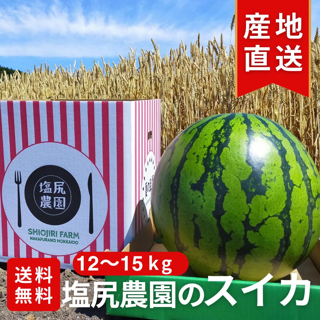 【ふるさと納税】夏の至福スイカ　特L