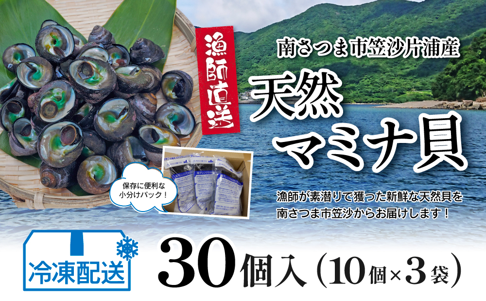 【素潜り漁師直送】【袋に入った冷凍のままでレンジ対応】【南さつま市　笠沙産　天然マミナ貝】シッタカ クボガイ 海産物 魚介類 鹿児島県 南さつま市 隆康産業