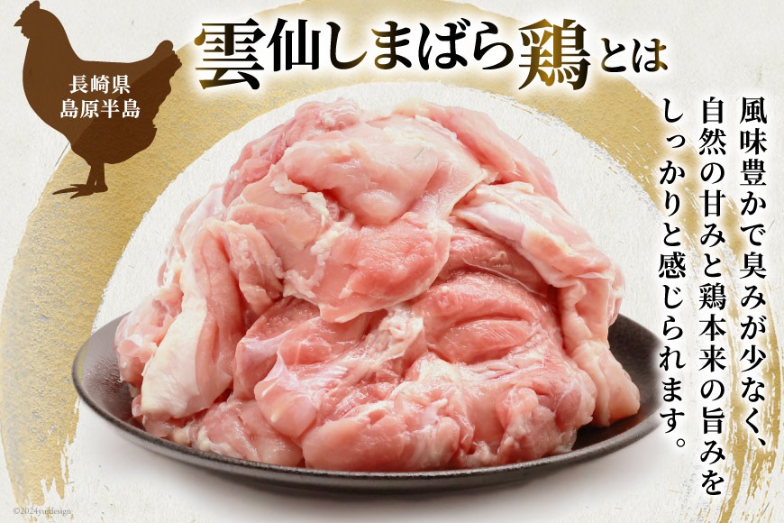 BI082 鶏肉 雲仙しまばら鶏 もも肉 260g 6袋 計1.56kg [ 小分け 鶏もも肉 若鶏 とりもも肉 とりもも 肉 チキン 真空パック 大光食品 長崎県 島原市 ]