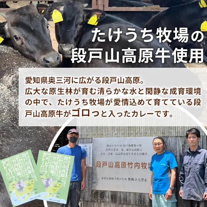 お肉がごろっと入った！たけうち牧場のビーフカレー お試し 1個 国産牛 ご当地カレー カレー 中辛 ブランド牛カレー レトルトカレー スパイス 段戸牛カレー  -217