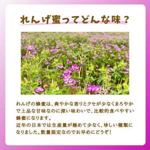 みつばちの雫　国産れんげ蜜　300g×2【1496814】