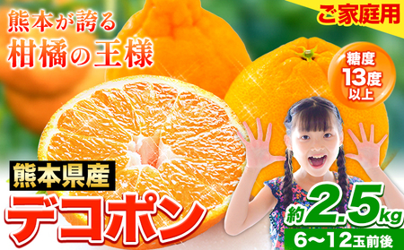先行予約 デコポン 2.5kg 訳あり デコポン ご家庭用デコポン 約 2.5kg 前後(約6-12玉前後) 糖度13度以上 個別光センサー選果 みかん 柑橘 フルーツ 旬 不知火 でこぽん《2026年2月上旬-4月末頃出荷》生産量日本一熊本県産(荒尾市産含む) 柑橘 フルーツ 旬 不知火 でこぽん