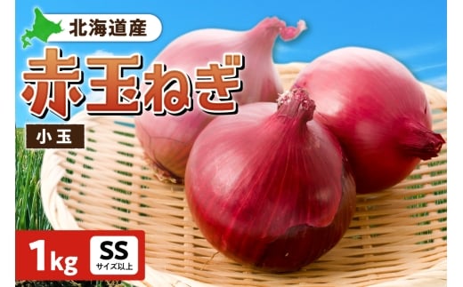 赤玉ねぎ 北海道産 小玉 1kg SSサイズ以上