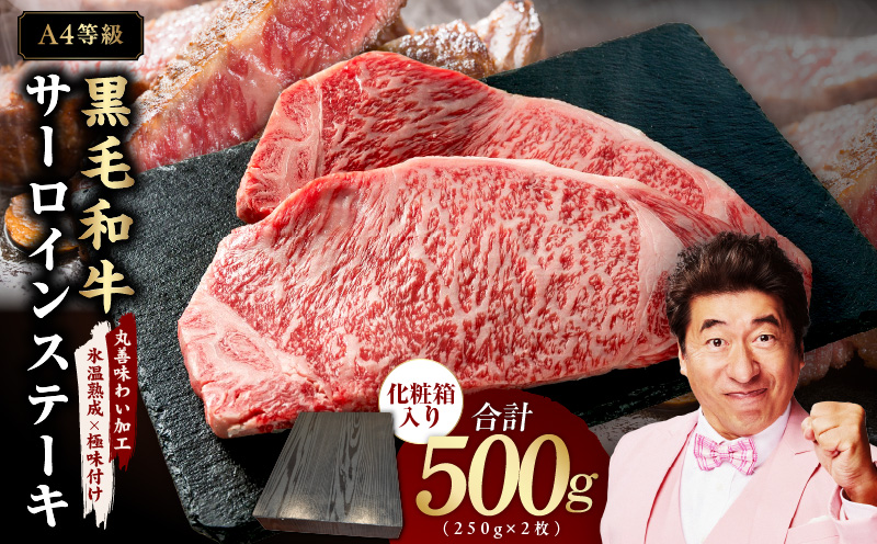 【A4ランク】黒毛和牛 サーロインステーキ 500g 化粧箱入り【氷温熟成×極味付け 250g×2 牛肉 ギフト プレゼント 贈り物 大阪 泉佐野 大阪府 泉佐野市】
