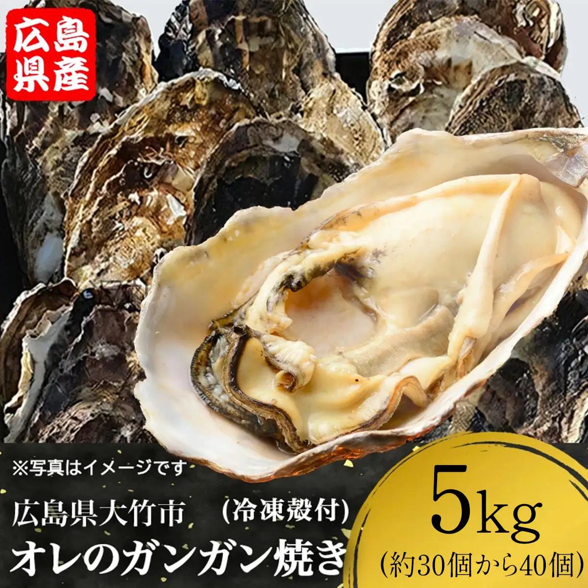 株式会社 アミスイ オレのガンガン焼き 広島県大竹市産 冷凍殻付牡蠣 5kg (約30個から40個) [2621]