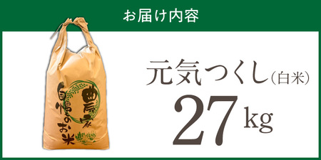 【2026年10月より順次発送】福岡県産ブランド米元気つくし 白米 27kg【令和8年産 新米】 _  元気つくし 27kg  福岡県産 ブランド米 精米 新米 福岡生まれ 品種 香り豊か ふっくら 