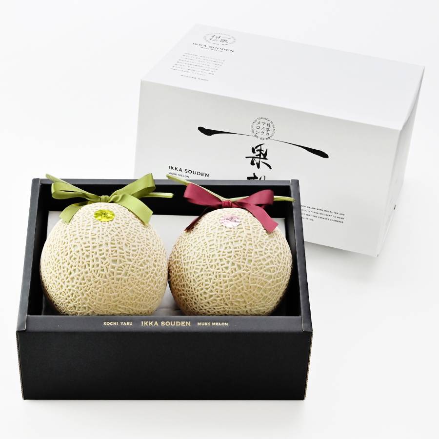 ＜一果相伝＞上級品 雅＆妃２玉セット(2.8kg以上)