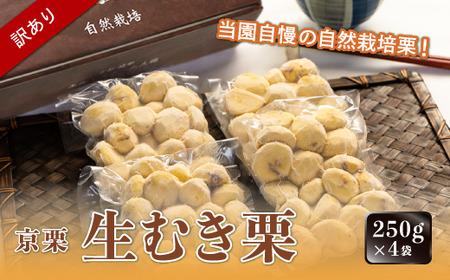 《12月発送》【訳あり】京栗 生むき栗 冷凍 1kg（250g×4袋） 栗 栗 栗