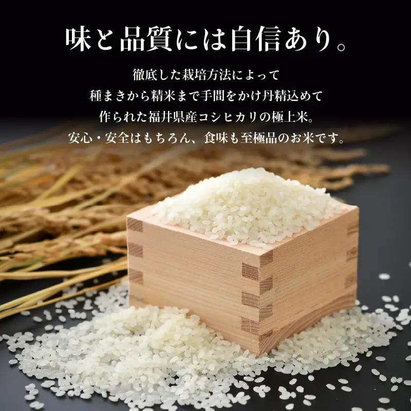 【先行予約】【令和8年産 新米】定期便《6ヶ月連続お届け》コシヒカリ 精米 5kg × 6回（計30kg）特別栽培米 農薬不使用 化学肥料不使用 ／ 残留農薬ゼロ 高品質 鮮度抜群 福井県産 ブランド