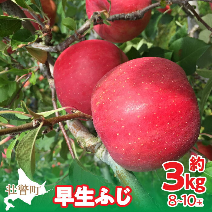 【ふるさと納税】【先行予約】北海道壮瞥町産りんご「早生ふじ」約3kg(8～10玉)《2026年10月中旬よりお届け》【 りんご リンゴ 林檎 ふじ 早生ふじ 蜜入り 5kg ジュース 果物 くだもの フルーツ 送料無料 おすすめ ランキング コスパ】SBTF002