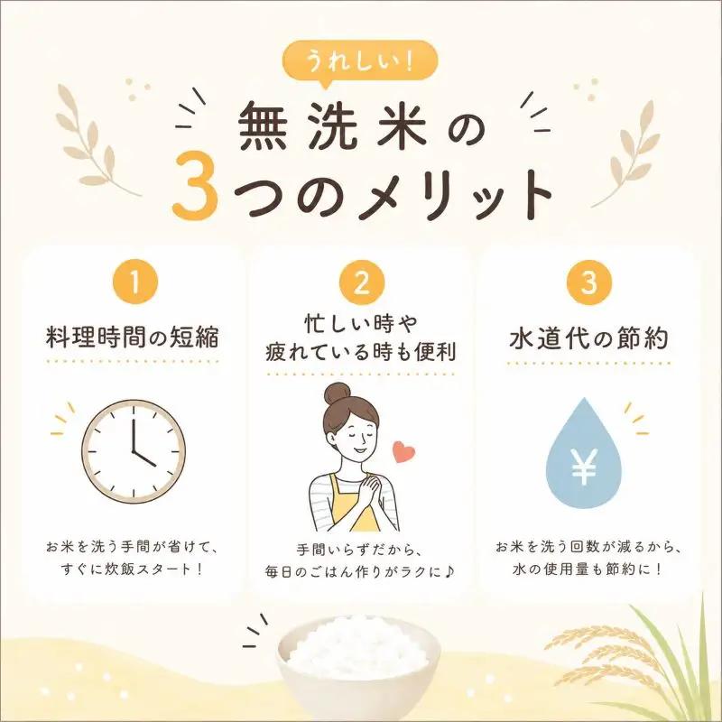 【先行予約】栃木県産コシヒカリ 無洗米 20kg 【栃木県共通返礼品】