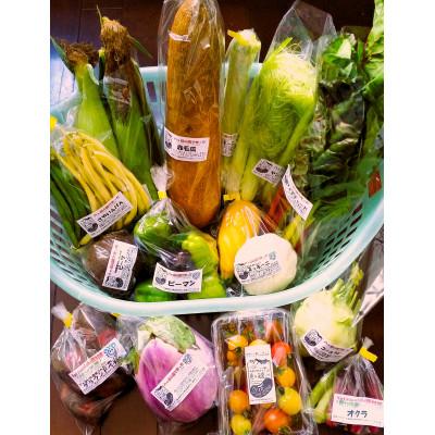 ふるさと納税 原村 季節の変り野菜セット(Mサイズ)