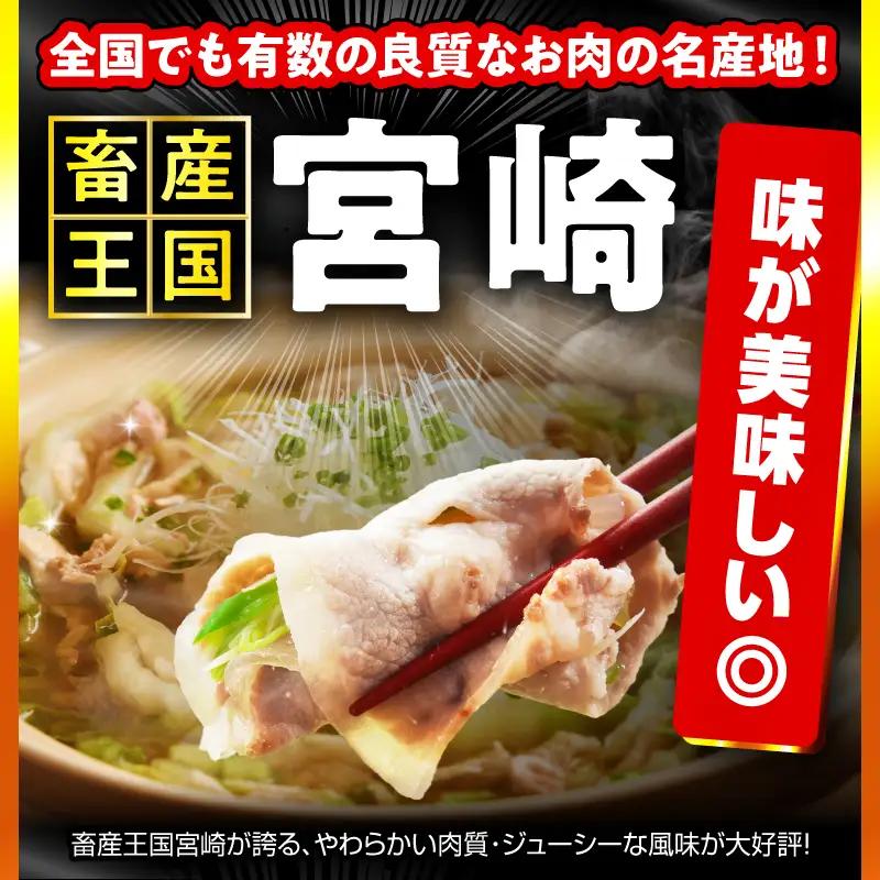 豚肉 セット 豚肉[バラエティセット 4.5kg ロース ハンバーグ]