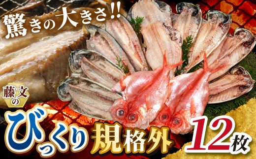 藤文の「びっくり規格外セット」 あじ 鯵 真ほっけ 赤魚 金目鯛 きんめ かます カマス 鯖 さば 干物 ひもの 規格外 冷凍 西伊豆 伊豆 ギフト お歳暮 お中元