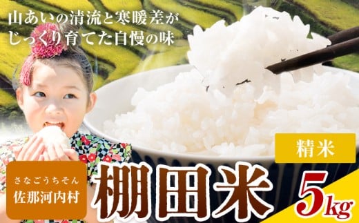 7-14営業日発送 清流と寒暖差が生む村自慢の棚田米 精米 5kg《7-14営業日発送(土日祝除く)》徳島県 佐那河内村 お米 米 白米 送料無料