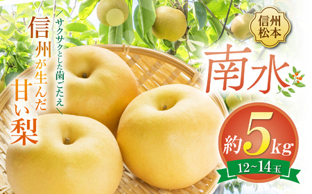 【先行受付：2026年】南水 10～14玉 約5㎏｜ふるさと納税 松本市 南水 果物 フルーツ 梨 なし ジューシー 果肉 美味しい 人気