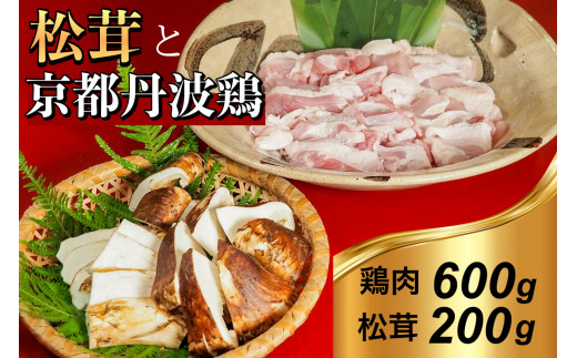 【先行予約】京都丹波鶏 と 松茸 すき焼き セット《鶏肉 600g 松茸 200g》特製割下付き 京都丹波鶏すき焼き 鶏すき焼きセット 鶏松茸 鶏まつたけ 鶏スキヤキ 松茸すき焼きセット 松茸鶏 すき焼き鶏 すき焼き松茸 丹波鶏 丹波地鶏 鶏肉 マツタケ まつたけ スキヤキ すきやき 割下 鶏肉すき焼き 鶏すき焼き 鶏 すき焼きセット 地鶏 京都 セット※2026年10月～発送