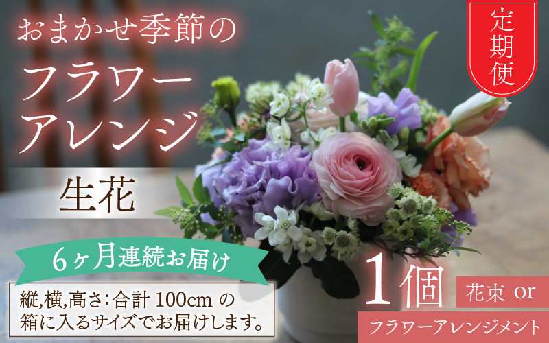 
【定期便6回】おまかせ季節のフラワーアレンジ（生花）×6ヶ月 お好み 日時指定可能
