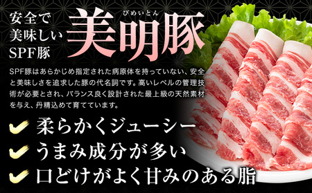 常陸牛 カルビ 美明豚 ロース 切身 ２品 ギフト (茨城県共通返礼品：茨城県産) ワークミート《30日以内に出荷予定(土日祝除く)》茨城県 河内町 常陸牛 美明豚 和牛 牛 牛肉 豚 豚肉 肉 詰め