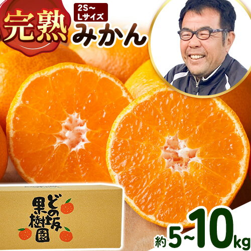 【ふるさと納税】 完熟みかん 選べる内容量 5kg 10kg サイズおまかせ どの坂果樹園《12月上旬-2027年2月上旬頃出荷予定》和歌山県 日高町 みかん 早生 旬 柑橘 フルーツ 果物 蜜柑 ミカン