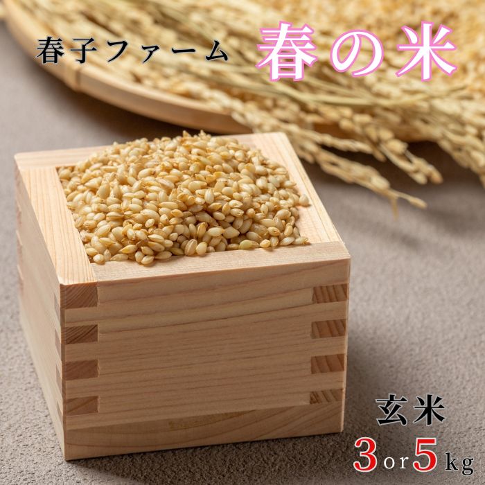 【ふるさと納税】選べる容量　春の米　玄米　3kg 5kg ／ 米 お米 こめ コメ ごはん 無農薬 農薬不使用 春の米 玄米 令和7年産 新米 3kg 5kg 千葉県 東庄町 春子ファーム 産地直送 産直 送料無料