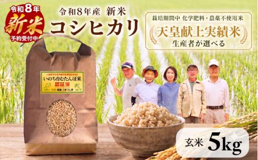 【2026年9月中旬より順次発送】令和8年産 新米 コシヒカリ 5kg（玄米） 天皇献上米 (栽培期間中）化学肥料・農薬不使用米 玄米 こめ ご飯 備蓄米 ごはん 環境 に優しい 小松島 上王子特質米 5kg