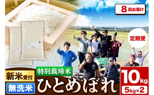 《新米予約》《定期便8ヶ月》令和8年産【無洗米】特別栽培米 ひとめぼれ 10kg（5kg×2袋）秋田県産 [ひとめぼれ 米 お米 白米 精米 無洗米 特別栽培米 ブランド米 食卓 秋田県産 秋田県 由利本荘市]
