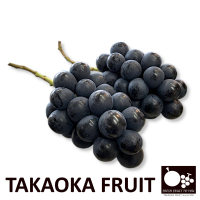 2026年発送「産地より信州中野の旬をお届け」 ナガノパープル　贈答用　約1kg【1311109】