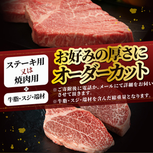 【冷凍】 前沢牛 ヒレ ステーキ 1本分 4.5~5kg オーダーカット [ME018]