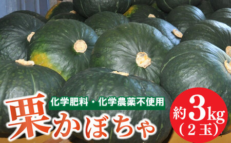かぼちゃ 2玉 約3～4kg 品種おまかせ 南瓜 夏野菜 カボチャ 南瓜 カボチャ 南瓜