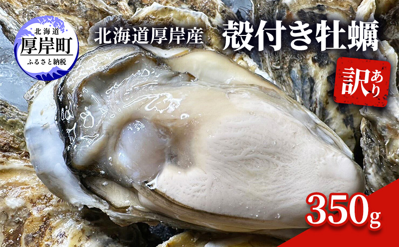 
訳あり 北海道 厚岸産 殻付き 牡蠣 350g[№5863-1073]
