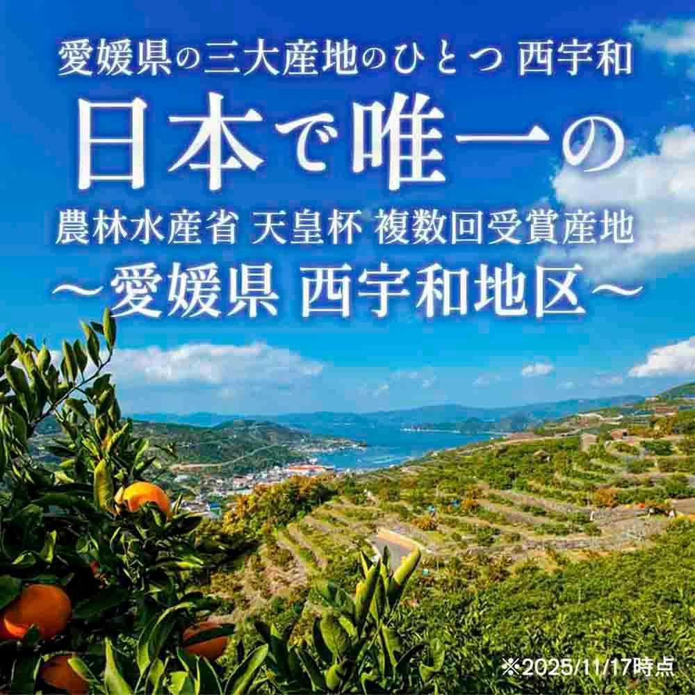 【先行受付】 【ご家庭用】せとか 4kg みかん 愛媛県 八幡浜産市 西宇和地区 柑橘の女王【C25-298】【1712733】 YWTAP239