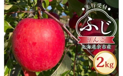 【先行予約：2025年11月上旬より発送】りんご（ふじ）2kg【北海道余市町産】
