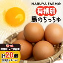 【ふるさと納税】＜選べる＞ 有精卵 20個 贈答用 or ご家庭用 HARUYA FARM 島のちっちゅ 卵 鶏卵 たまご エッグ 鶏 安心 安全 低コレステロール 高タンパク質 低カロリー 食物繊維 たまごサンド たまごかけご飯 プリン 鹿児島 和泊町 おすすめ ランキング プレゼント ギフト