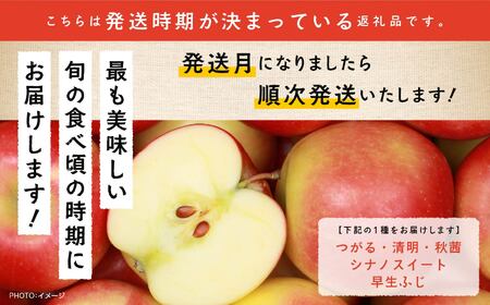  《2025年9月下旬以降発送》羽山りんご品種おまかせ(早生・中早生)5Kg りんご リンゴ 林檎 国産りんご フルーツ 果物 人気 ランキング おすすめ ギフト 故郷 ふるさと 納税 福島 ふくしま