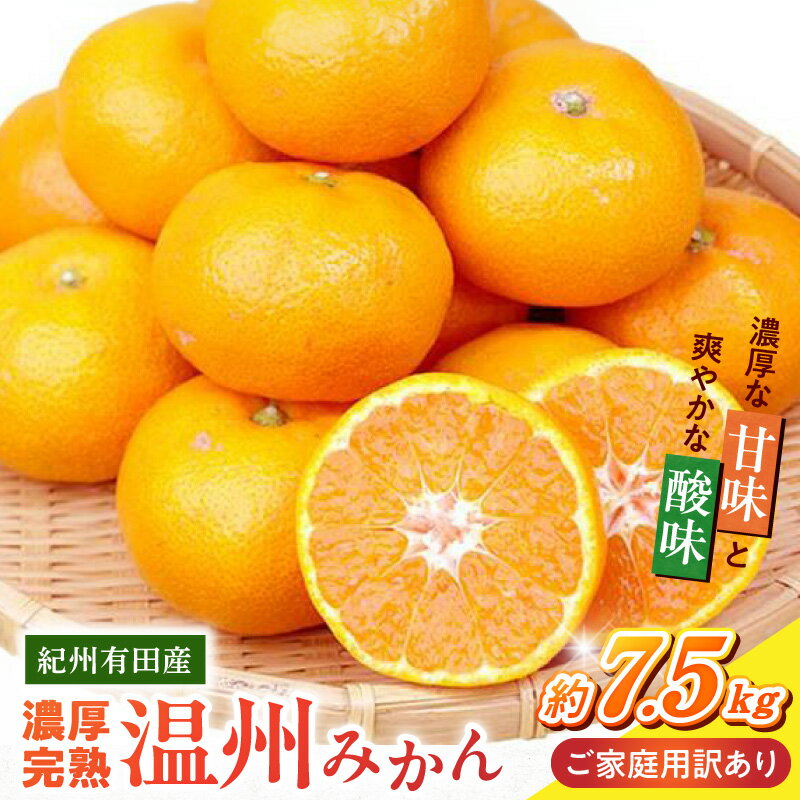 【ふるさと納税】【限定】【2026年11月下旬より発送】 紀州 有田産 濃厚甘熟 温州みかん 7.5kg 【家庭用 訳あり】 【ミカン 蜜柑 柑橘 温州みかん 有田みかん 和歌山】