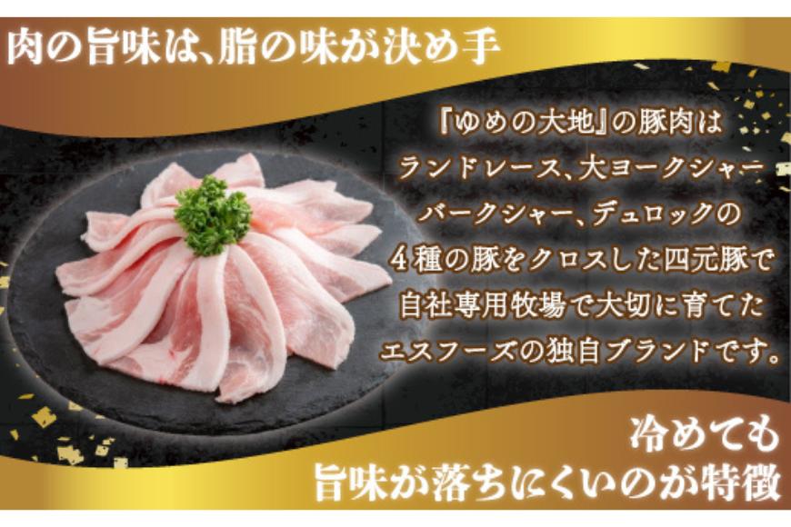 【平取町産四元豚】ゆめの大地豚ローススライス200g×5パック計1ｋｇ BRTD007_イメージ2