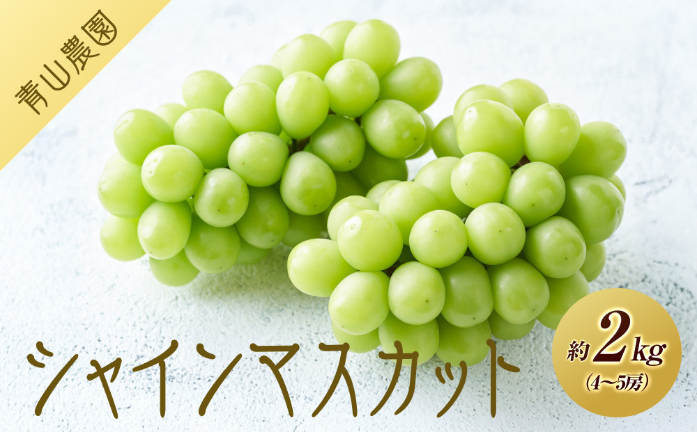 【先行予約】【数量限定】 シャインマスカット 約2kg 〔2025年8月下旬より順次発送〕 232238_CU002
