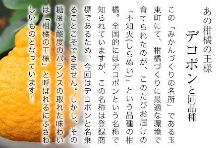 『緑伸園』の不知火・肥の豊 約5kg あのデコポンと同品種《12月中旬-1月下旬出荷》