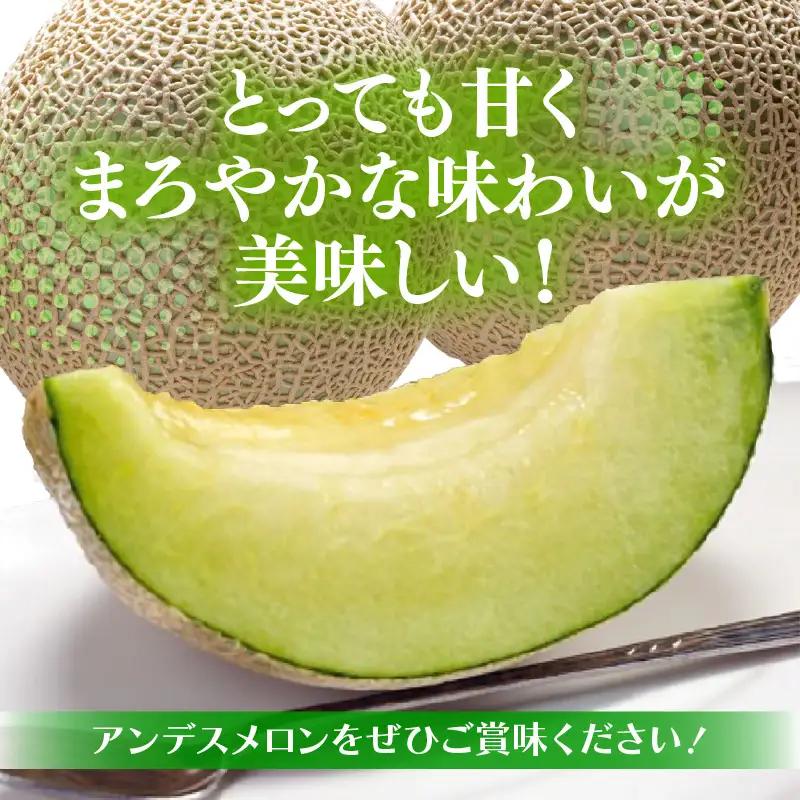 【先行予約】アンデスメロン 花咲乙女 3～5玉入 3～5L 《甘くまろやか！青肉で果汁たっぷり》／ 期間限定 果物 フルーツ 産地直送 ※2027年6月下旬より順次発送 [aw003-a008]