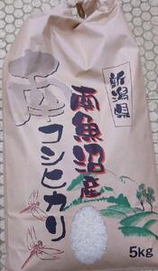 南魚沼産コシヒカリ　5kg　令和5年産