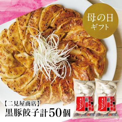 ふるさと納税 南さつま市 【母の日ギフト】鹿児島県産 手作り本格黒豚餃子 50個 (25個×2P)