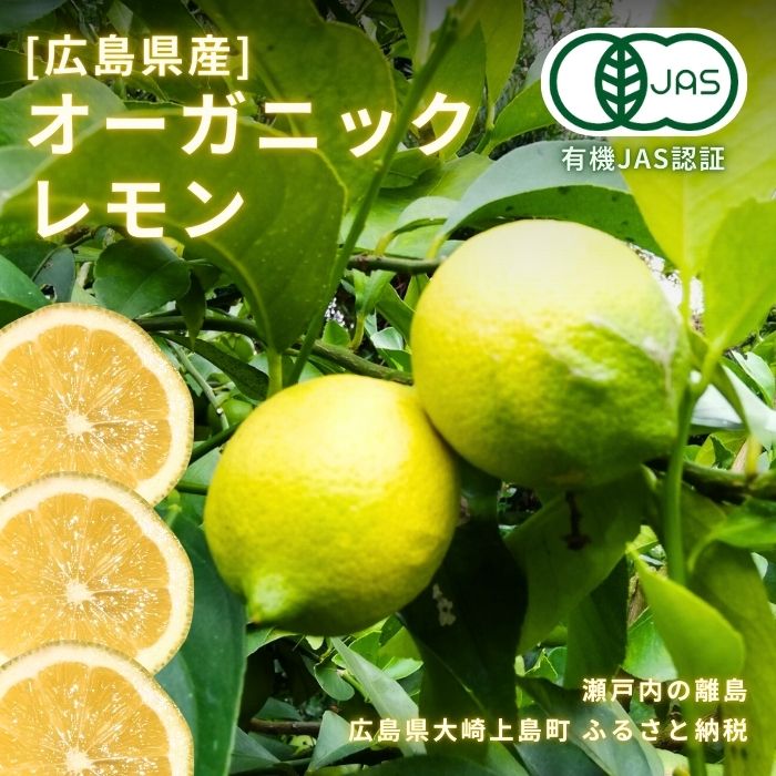 【ふるさと納税】[12~3月発送] 中原観光農園 有機JAS認証 オーガニックレモン 約1kg 広島県 大崎上島町 瀬戸内産 送料無料