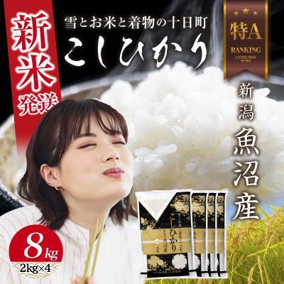 ふるさと納税 十日町市 【令和8年産 新米】 新潟県 魚沼産 コシヒカリ 8kg (お米の美味しい炊き方ガイド付き)