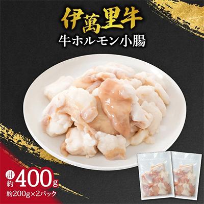 ふるさと納税 伊万里市 伊万里　小腸