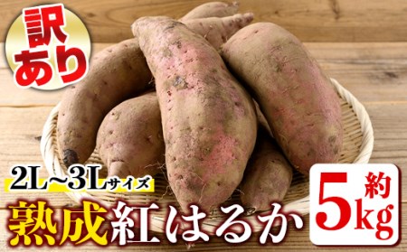 isa425 訳あり 2026年1月より順次発送予定 熟成 紅はるか 約5kg 2L 3L サイズ混合 【いさ工房】