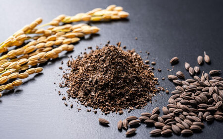 玄米珈琲「お米のシリカ」ティーパック 1箱 計16包（2パック各8包） 滋賀県長浜市/大中商会[AQDN001]